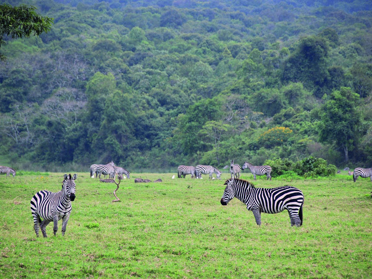 Arusha1