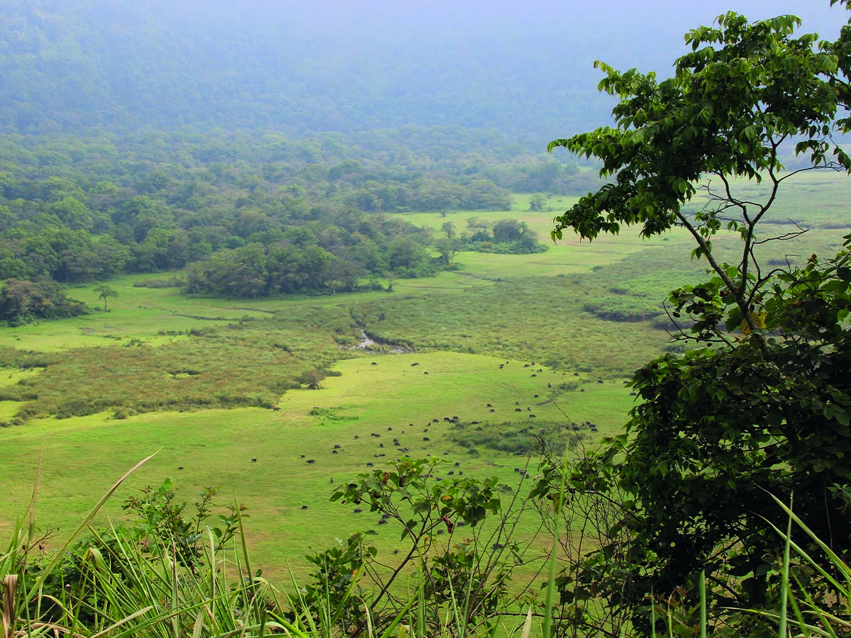 Arusha2