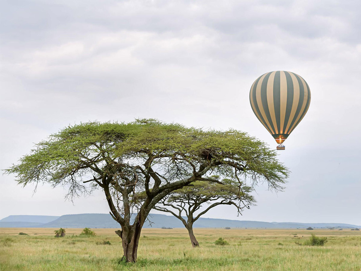 Balloon Safari 1