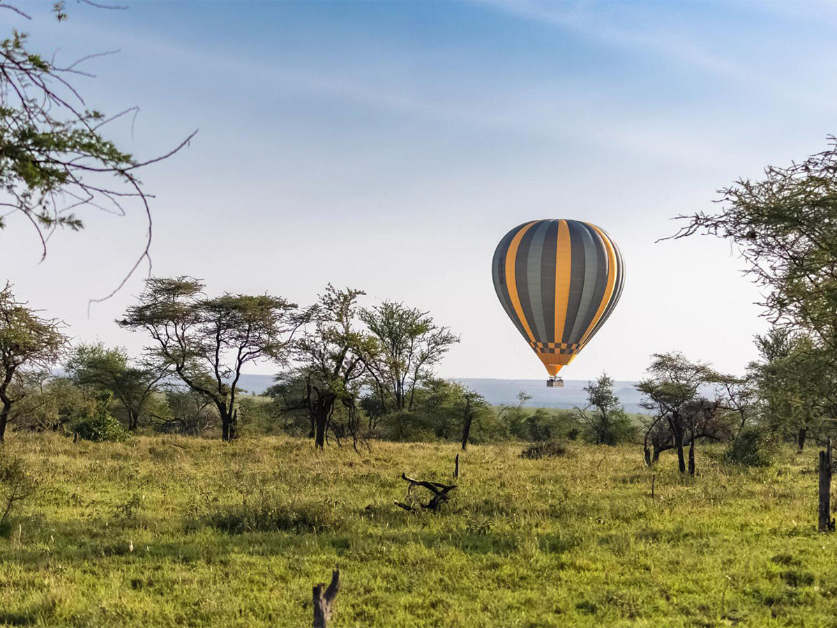 Balloon Safari 2