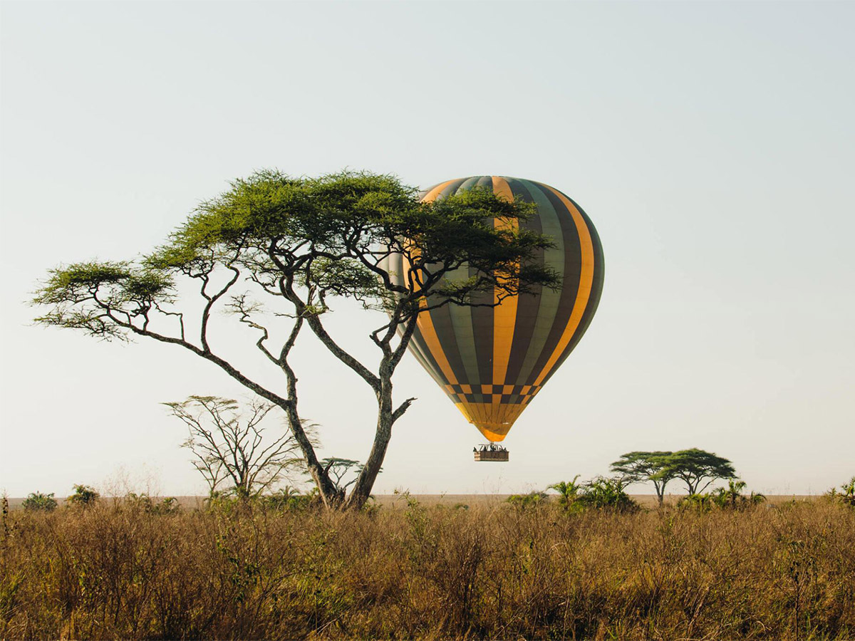 Balloon Safari 3