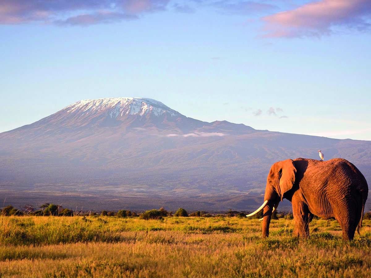 Kilimanjaro5
