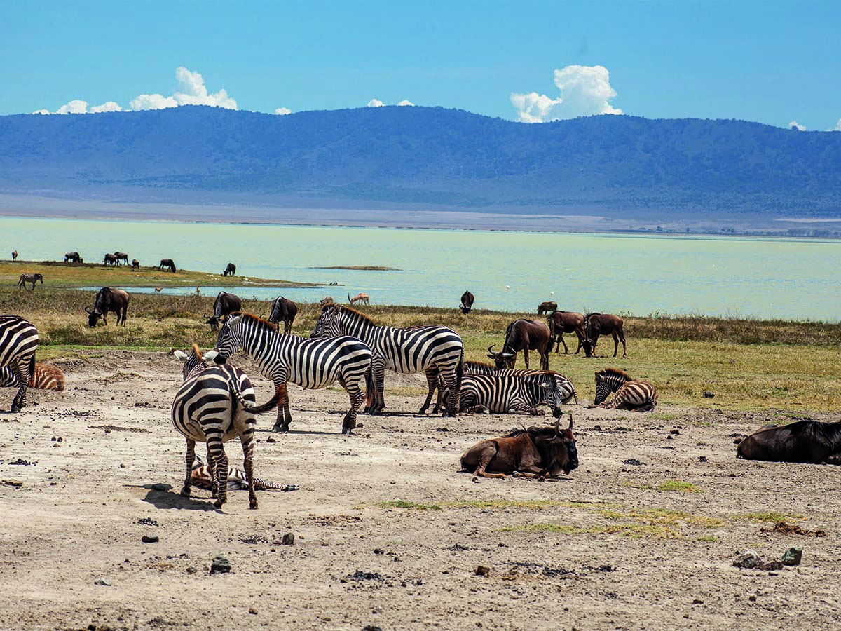 Ngorongoro3