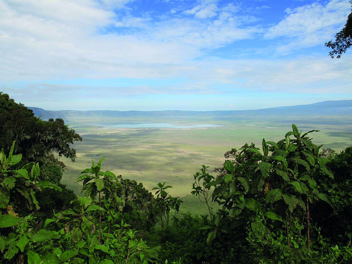 Ngorongoro4