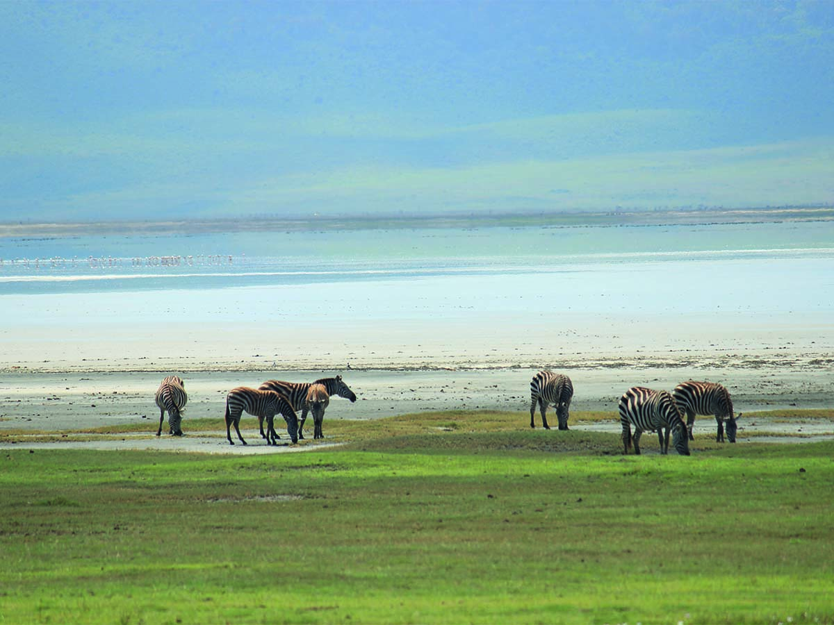 Ngorongoro5