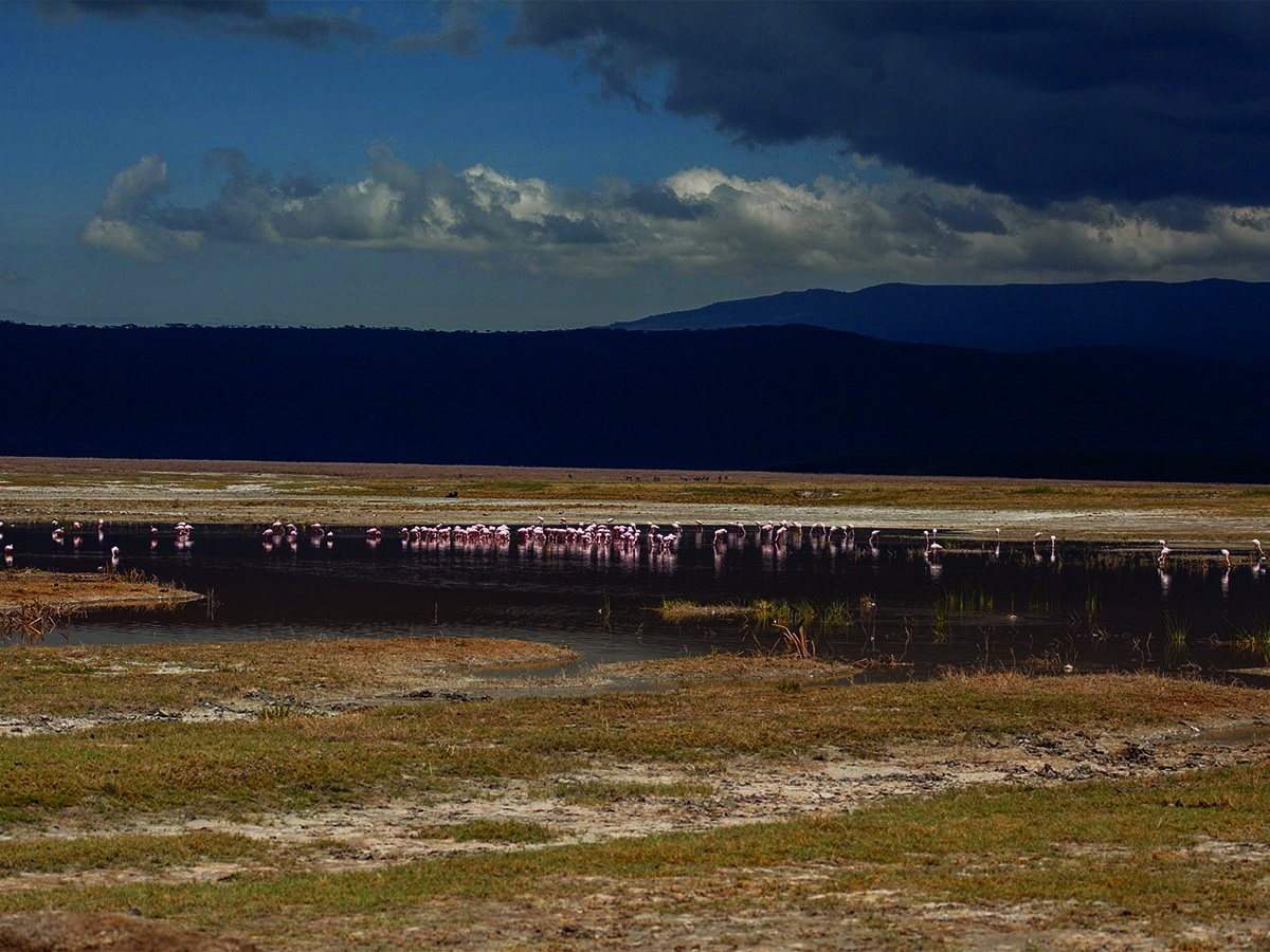 Ngorongoro6