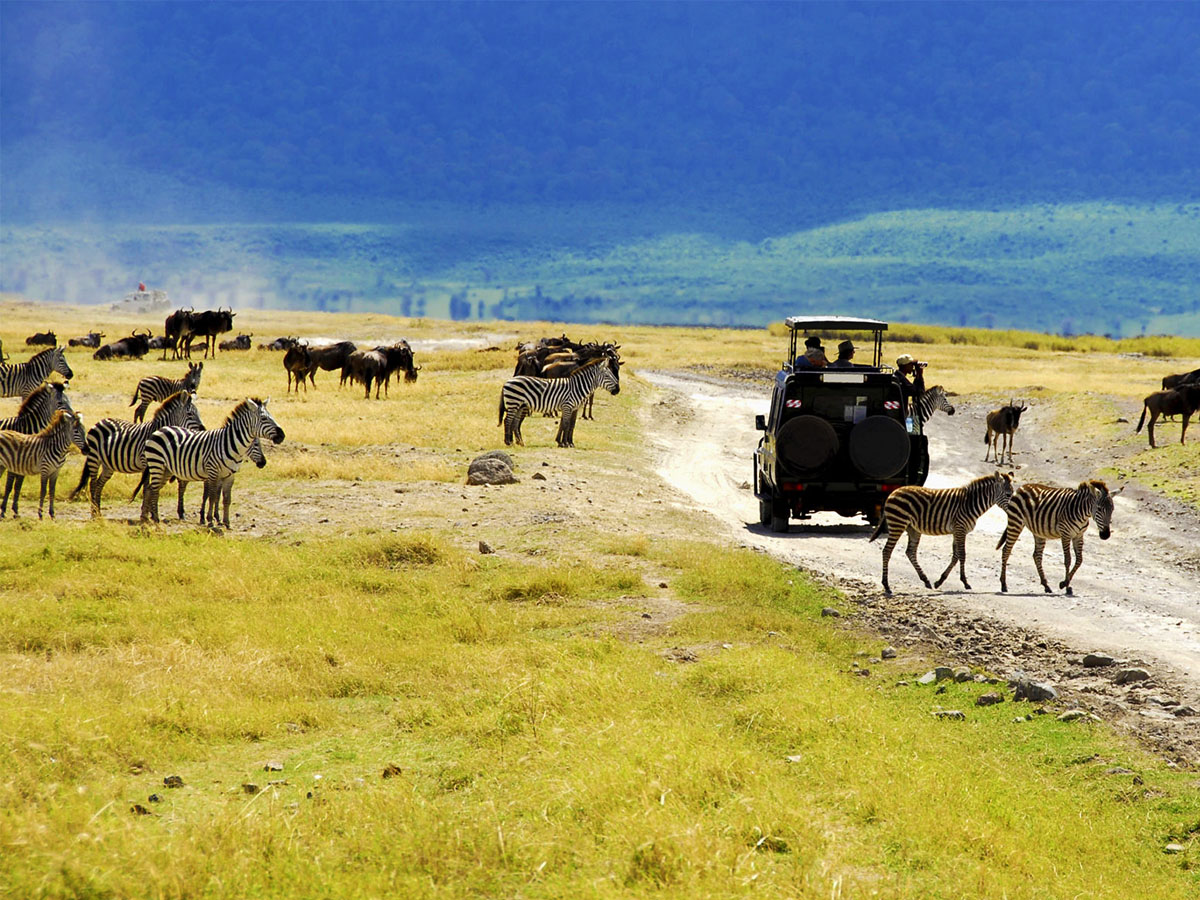 Ngorongoro7
