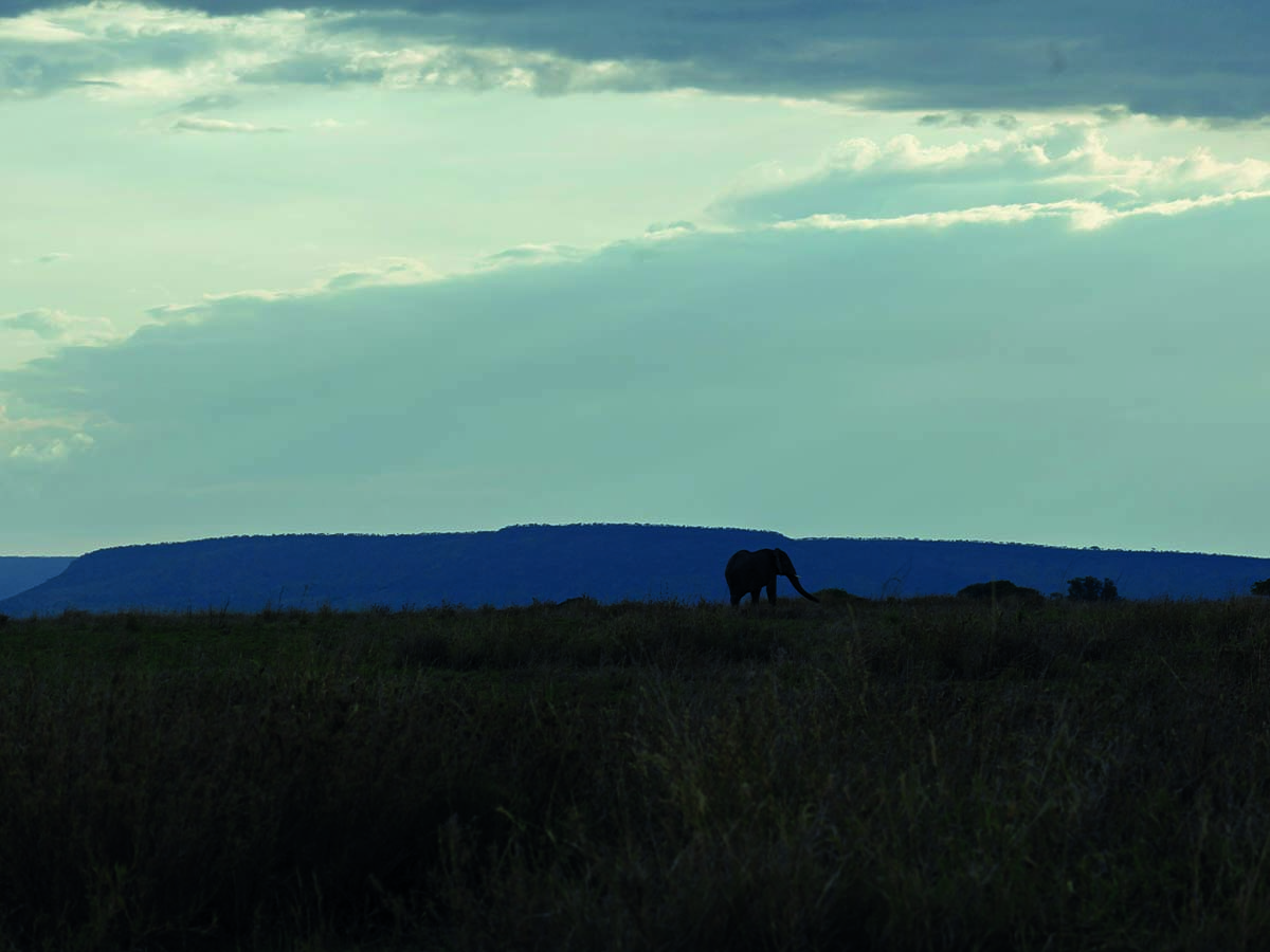 Serengeti4